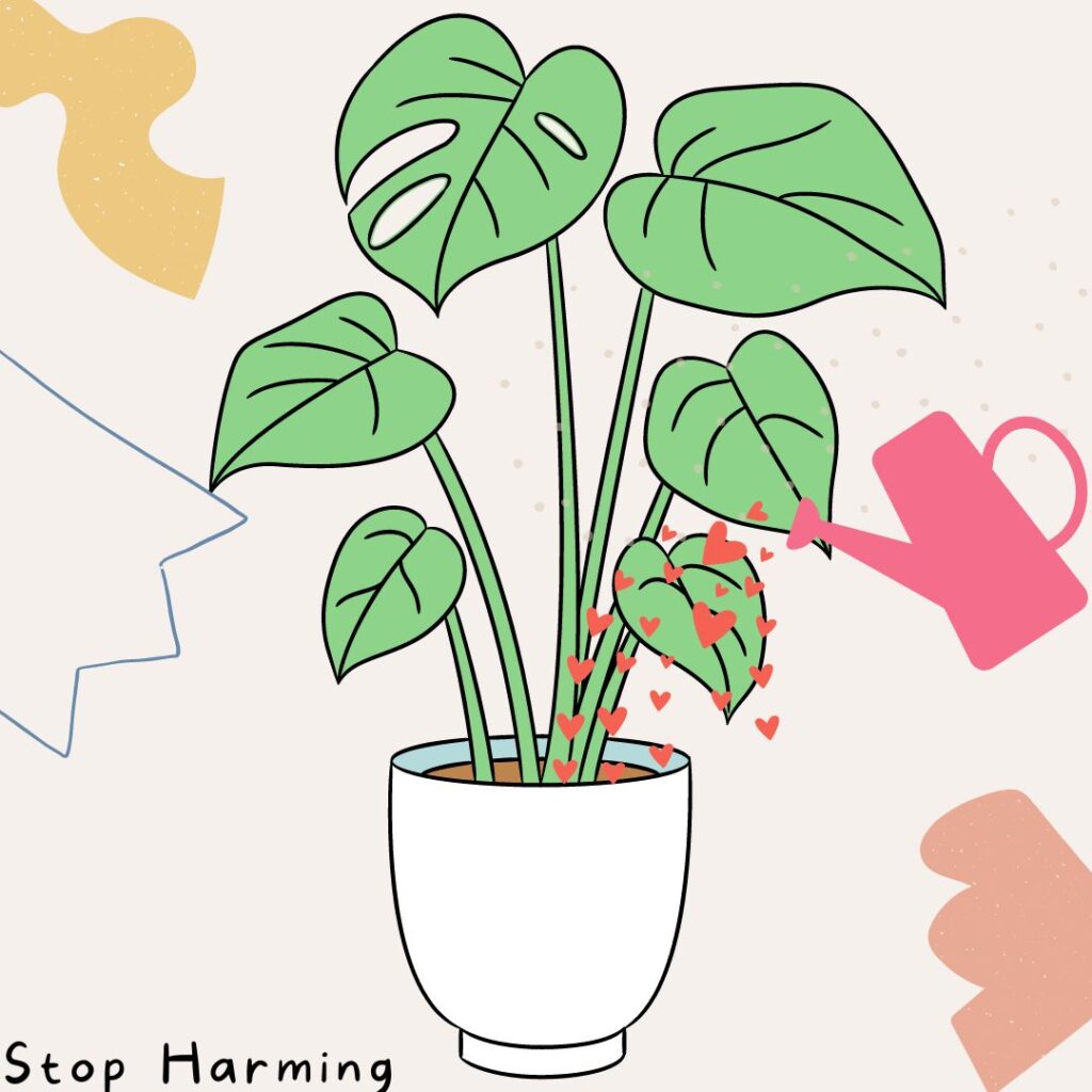Drawing of a plant in a pot. There is a drawing of a watering can pouring hearts on the plant. In the corner, there is the text "stop harming